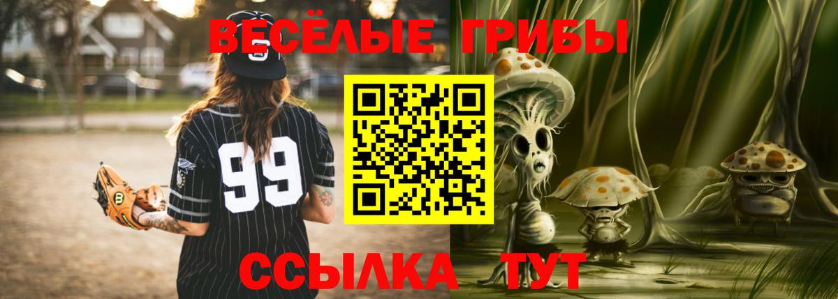 Галлюциногенные грибы Magic Shrooms  Вход с VPN  Кулебаки 